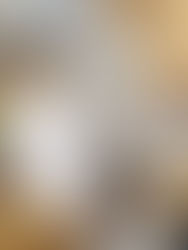 2/23.24.25 OPEN HOUSE