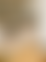 家づくりのノウハウ