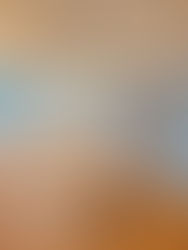 完成🌸お引渡し