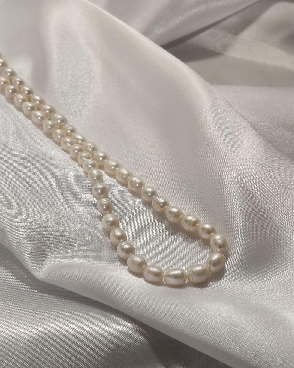 תמונה ממוזערת: BASIC PEARLS