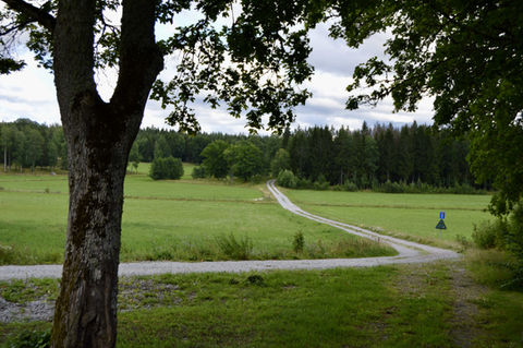 Ekfalk Animal Center - Hundhotell, Hunddagis Arlanda