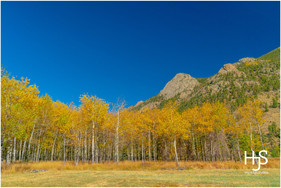 Colorado