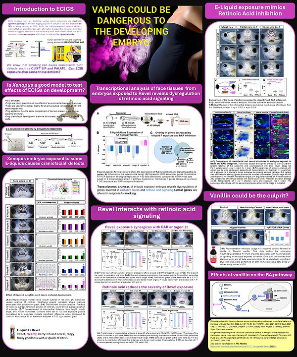 Poster 3 vaping.jpg