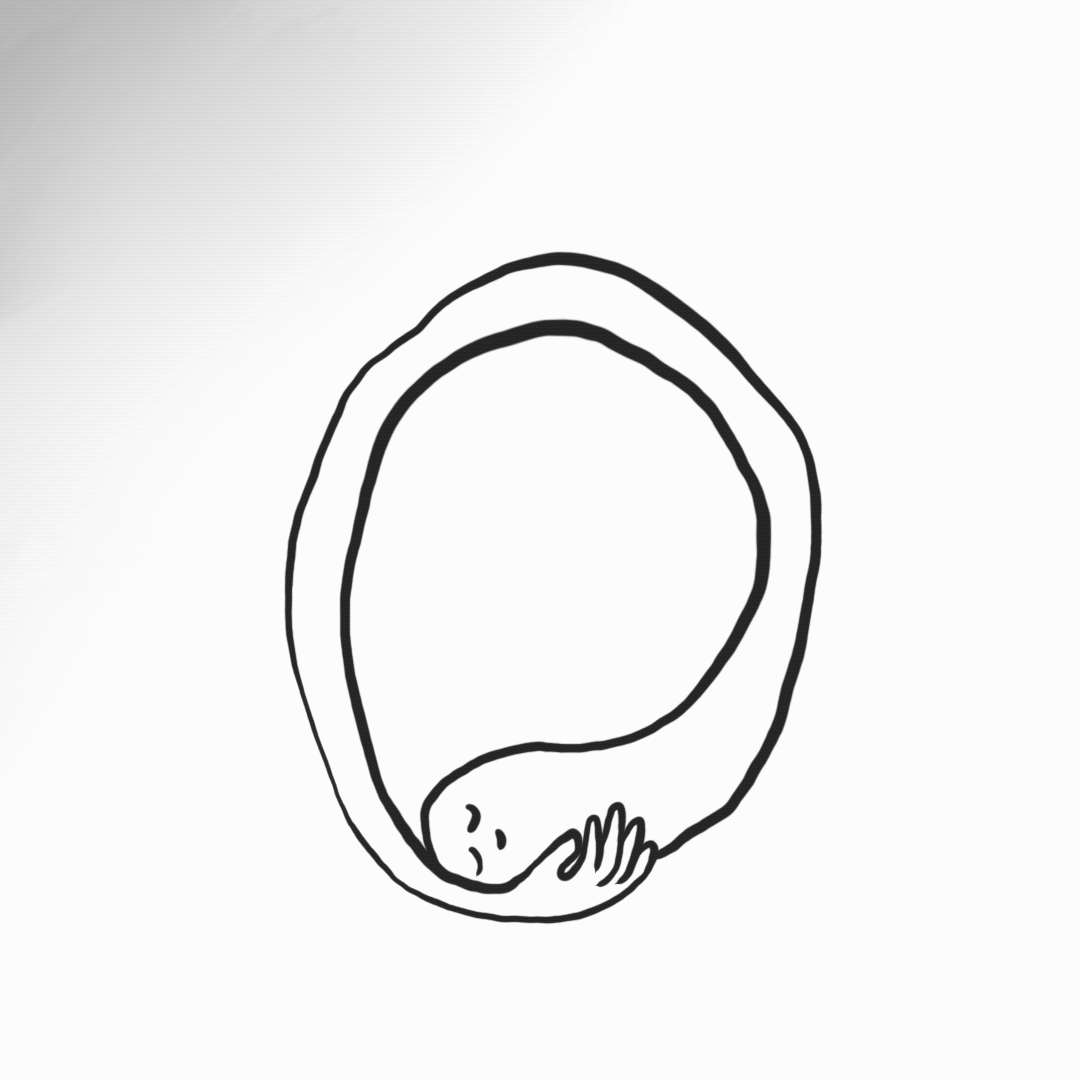 integration, holistic, compassion, therapy