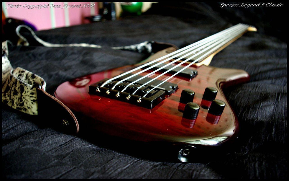 Guitar