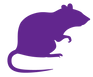 Ratte_lila.png