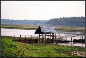 ayilakkad wetlands