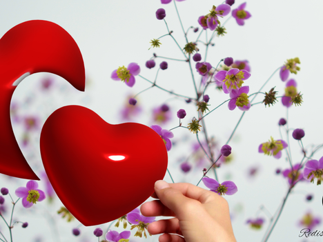 Heal your Heart