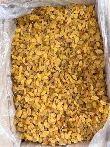 Indian Raisins | M Star