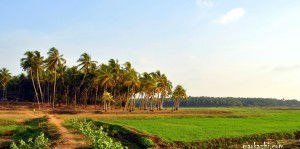 kottamukku ,were mysore sulthans started to build a fort.