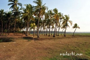kottamukku where the relics othe rock remained