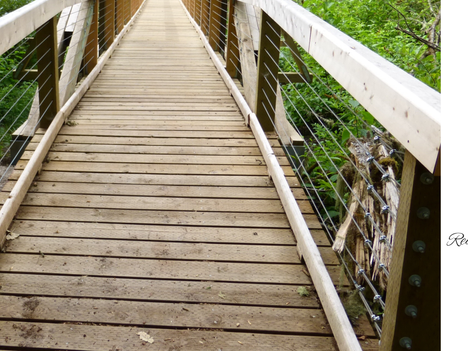The First Step on the Bridge