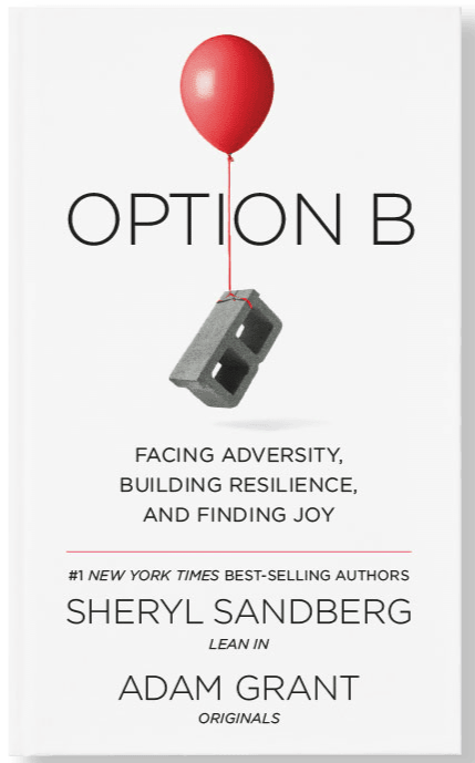 Option B: Build resilience in the face of adversity