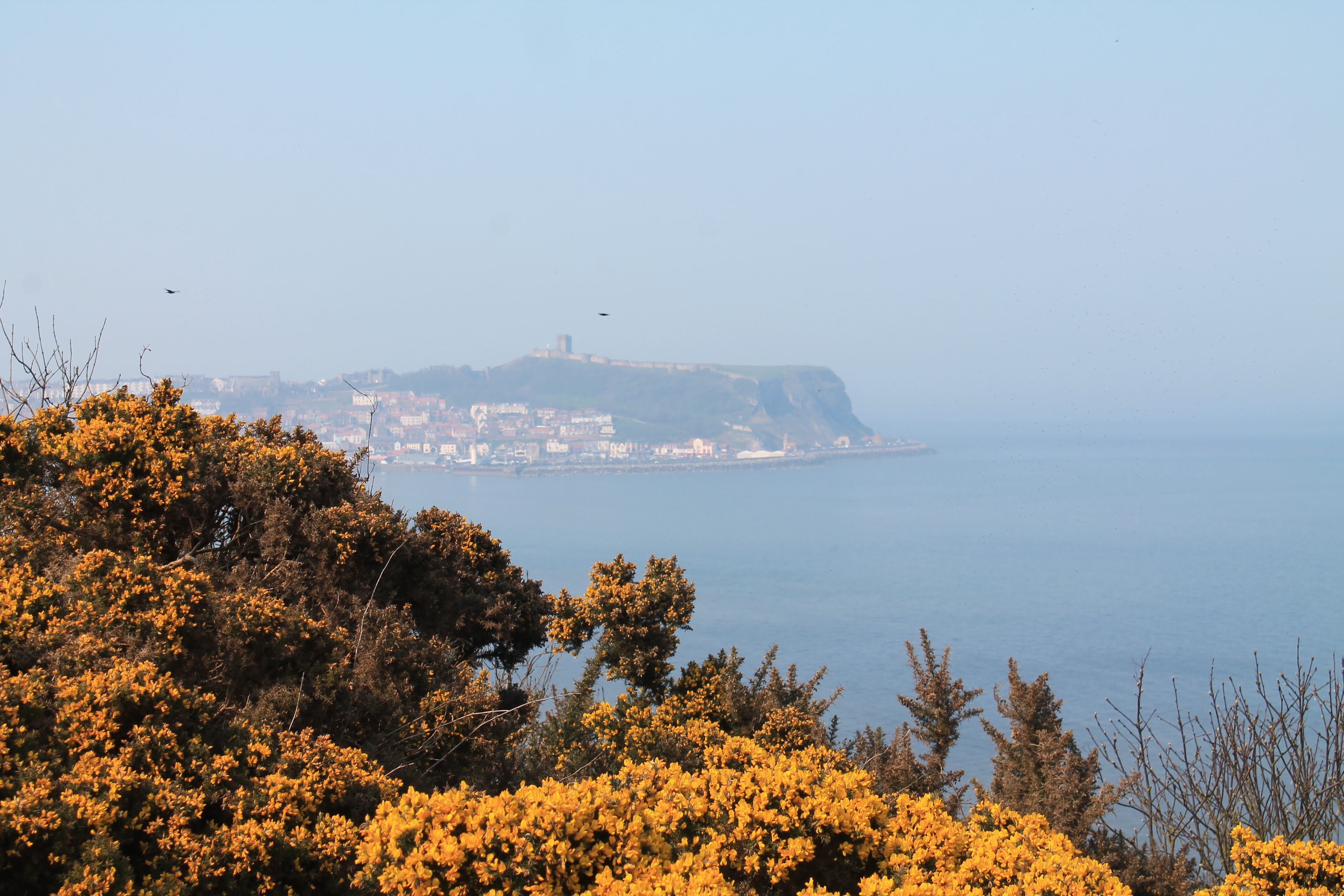 Filey - Scarborough
