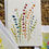 Thumbnail: “Flowers” set of 4 hand painted cards w/envelopes 