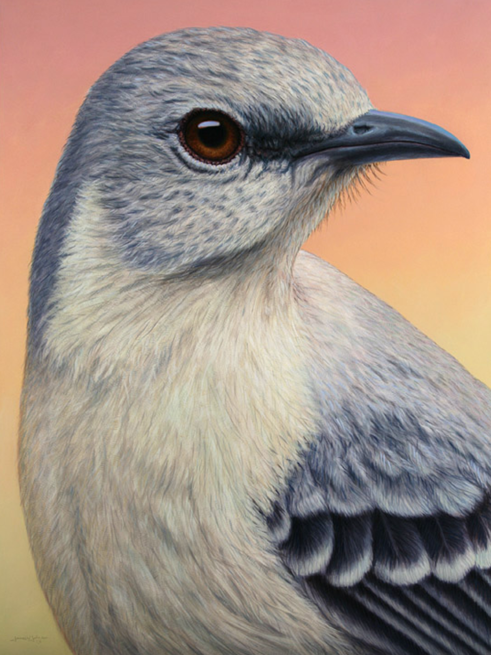 Portrait of a Mockingbird