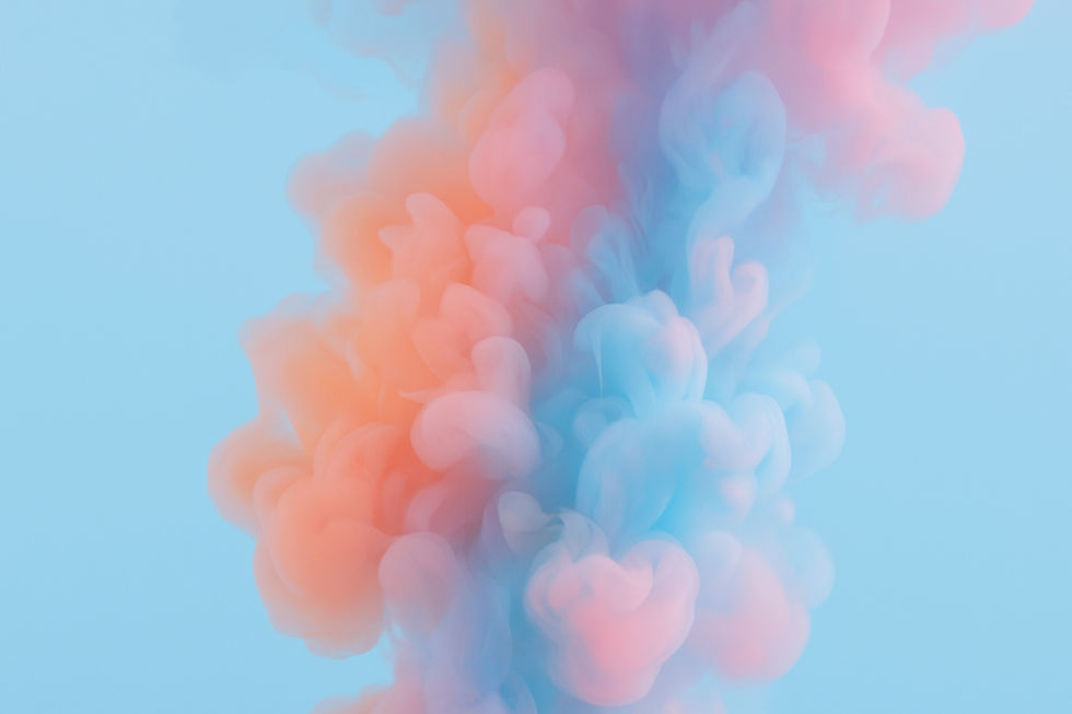 file_000000006a5071f9ab63755d0a076973 (1)_edited_edited_edited_edited.jpg