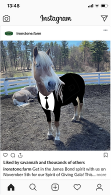Ironstone Farm Sample Social Post 1.png