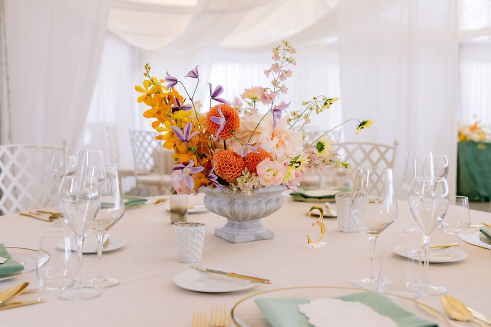 WhatsApp Image 2026-02-27 at 12.24.14 (6).jpeg