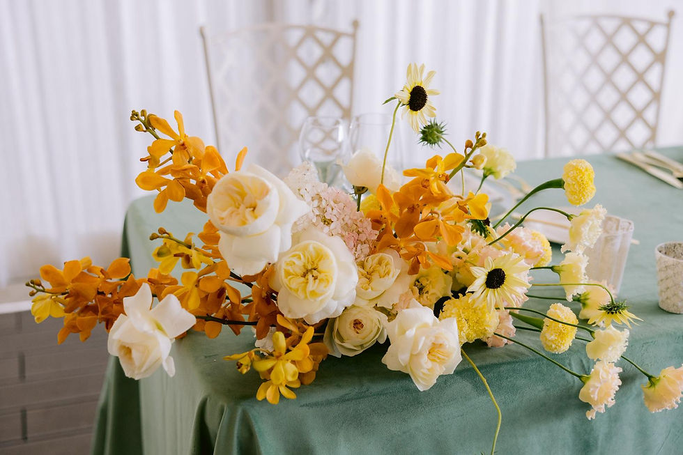 WhatsApp Image 2026-03-12 at 13.31.51.jpeg