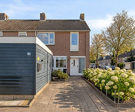www.theodomus.nl