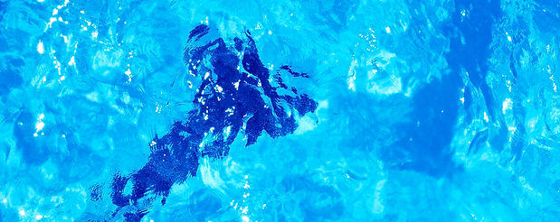 Summer Swim_edited.jpg