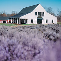 Princeton Lavender by Iryna Shostak Photography-38.jpg