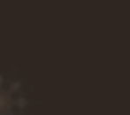 background brown lighcodes.jpg