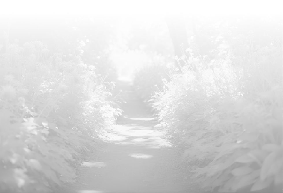 path_to_woods_bg.jpg