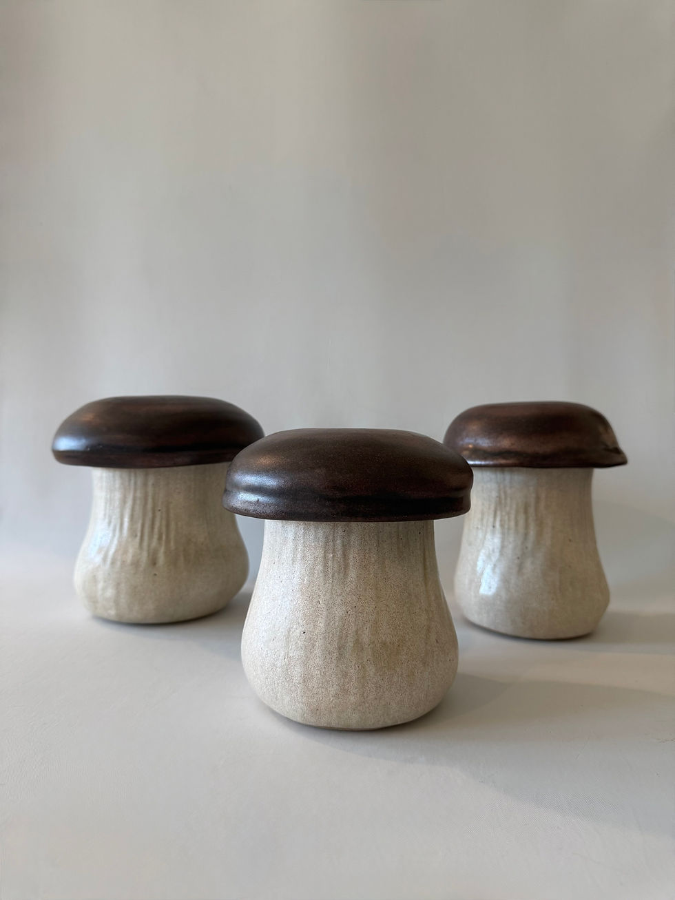 Thumbnail: Bolete Mushroom Kitchen Canisters