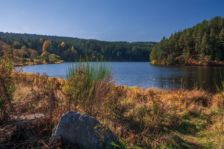 Barrage des plats-min.jpg