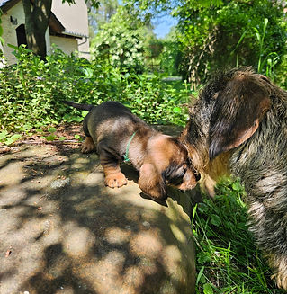 Aiden mit Mama 2.jpg