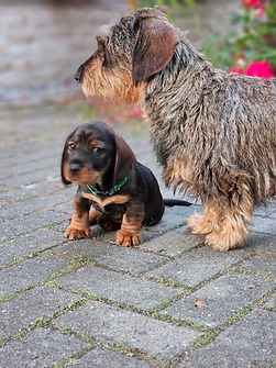 Aiden mit Mama 1.jpg