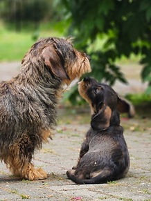 Alixx mit Mama.jpg