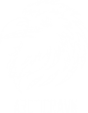 Arctic Ravn Raven Logo