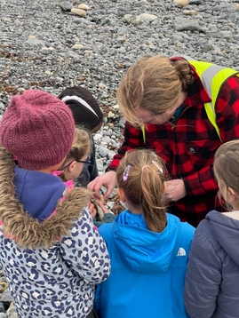 Primary school geology field trip
