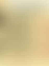 «Библиороссика» на non/fiction№25