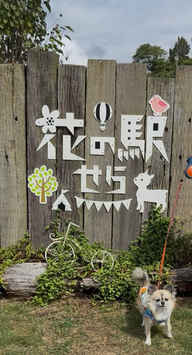 花の駅せら　世羅町