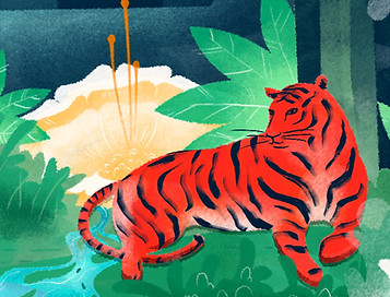 Illustrated Tiger