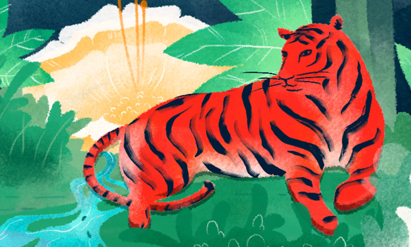 Illustrated Tiger