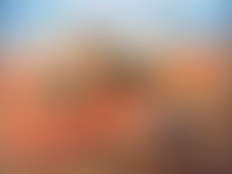 What Was Saddam's Problem?