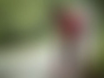 Getting Over the Hump