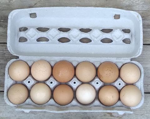 Fresh Brown Eggs