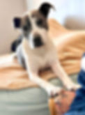 Lucy.jpg