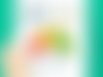 Entenda o Serasa Score e como ele influencia na contratação do seguro