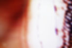 "04.13.19 (c)"