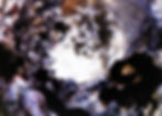 "04.13.19 (a)"