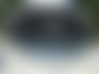 Smartbites Hungarian: Nyaraljunk a Margitszigeteken! B1