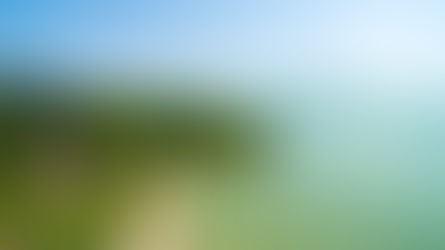 Smartbites Hungarian: Nekem a Balaton a Riviéra!