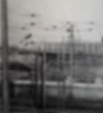 Overhead Lines, pencil drawing, w51.5xh56cm